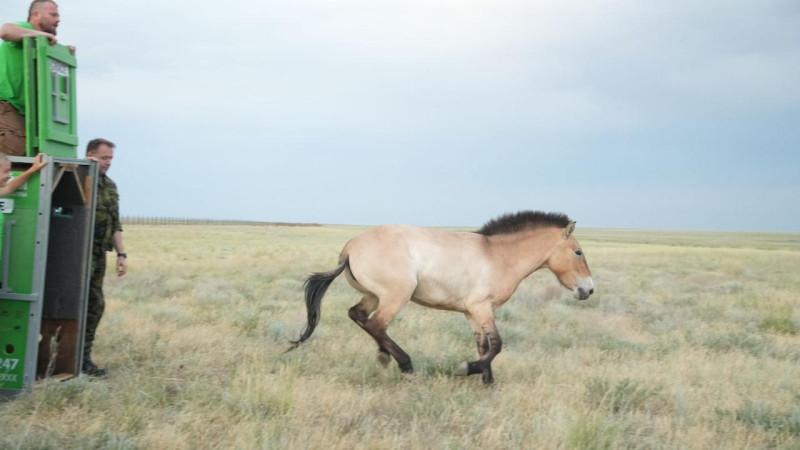 Фото: Абдуазиз Мадьяров/gov.kz