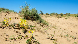 Фото:depositphotos.com