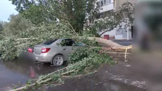 Павлодар облысындағы дауыл: зардап шеккендер саны 16-ға жетті