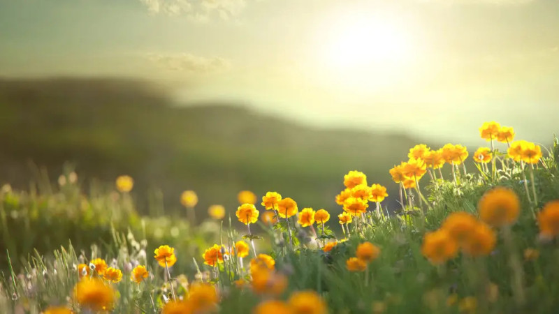 Фото:depositphotos.com