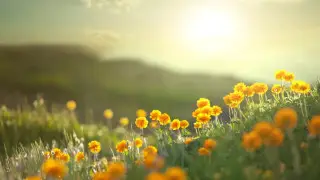 Алматы мен Астанада алдағы күндері ауа райы қандай болады?