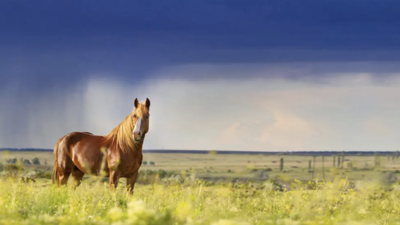 Фото:depositphotos.com