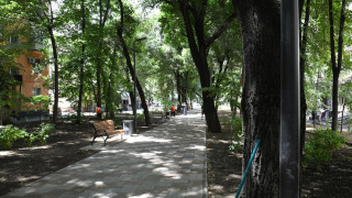 Фото: Алматы әкімдігінің баспасөз қызметі