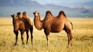 Фото:depositphotos.com