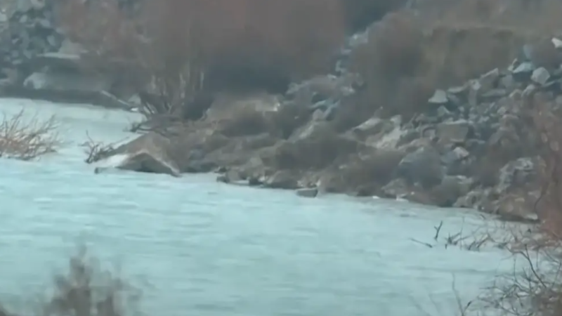 Almaty.tv