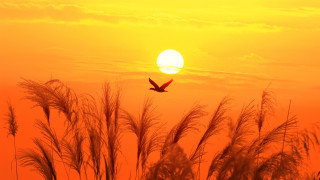 Фото:depositphotos.com
