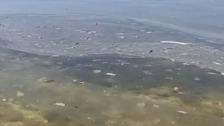Видео кадры