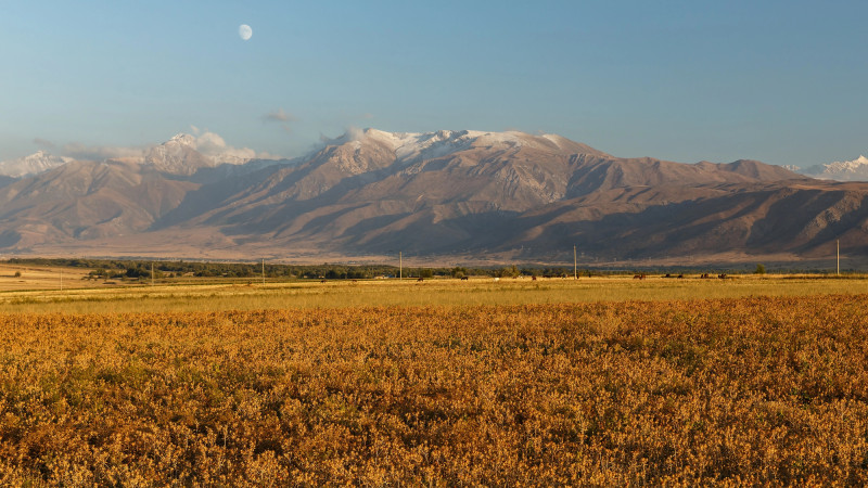 Фото:depositphotos.com