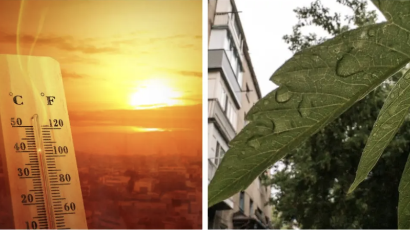 depositphotos.com/Tengrinews.kz/Turar Kazangapov