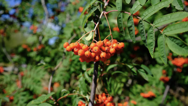 Фото:depositphotos.com