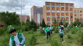 “Таза Қазақстан“: Астана мектебінің аумағына 600 түп ағаш отырғызылды