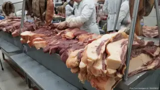 Сауда министрі ет бағасының өсу себебін түсіндірді