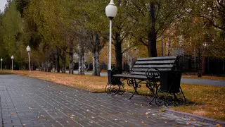 7 тамызға ауа райы болжамы: Кей өңірлерде нөсер жауын мен екпінді жел тұрады