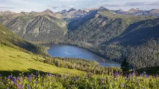 Алматыдан 35 шақырым жерде жер сілкінді