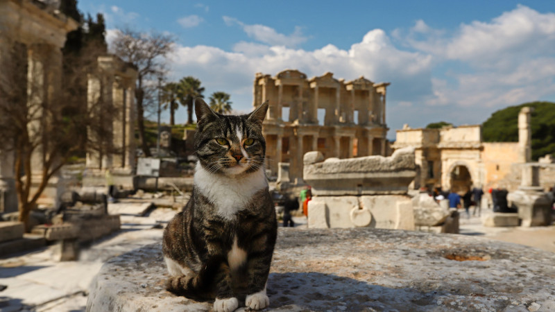 Фото:depositphotos.com