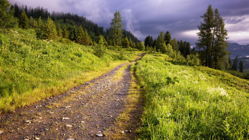 Фото:depositphotos.com
