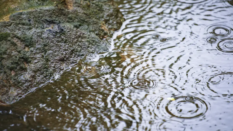 Фото:depositphotos.com