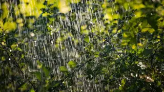 Жаңбыр, найзағай мен жел: синоптиктер 17 тамызға арналған ауа райы болжамын ұсынды