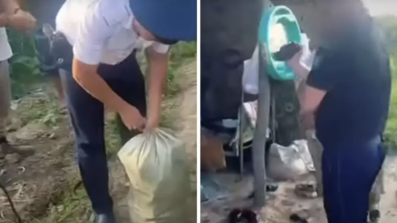 Видео кадры