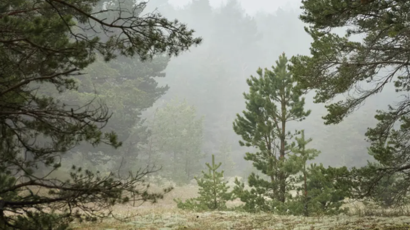 Фото:depositphotos.com