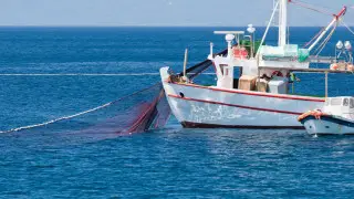 Қазақстандағы “мафия“ балық экспортынан 80 миллиард теңге тапқан