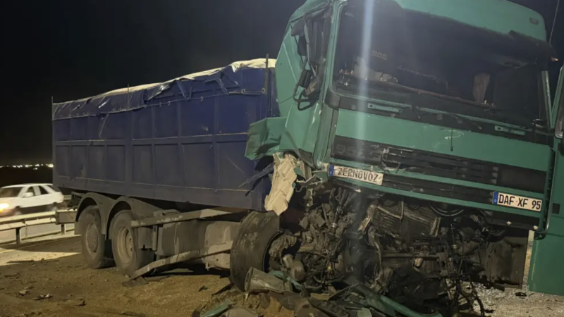 Фото ©️ Tengrinews.kz