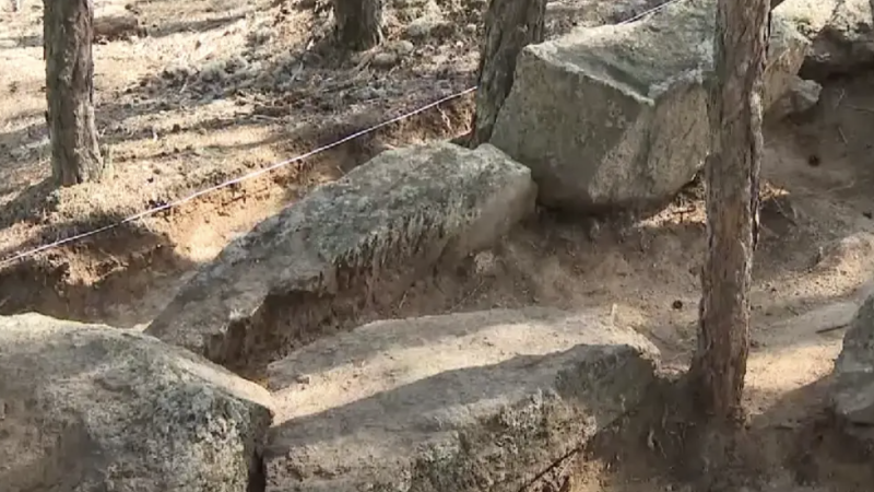 Видео кадры