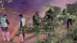 Таразда төбелес кезінде оқушы қаза тапты