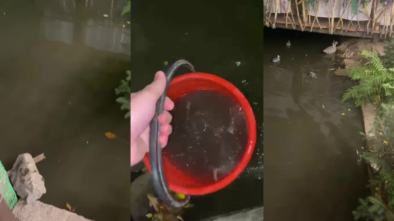 видео кадры