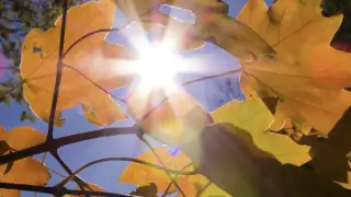 Қай аймақтарда ауа температурасы +37 градусқа дейін жетеді?