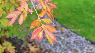 “Қазгидромет“ 7 қыркүйекке арналған ауа райы болжамын ұсынды