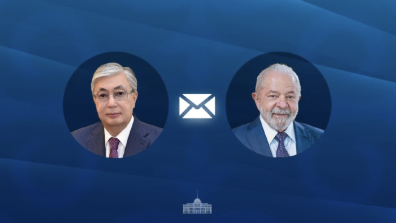 Қынаптары түкті дәретханадағы әйелдер