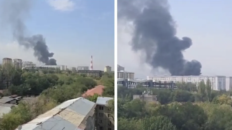 Видео кадры