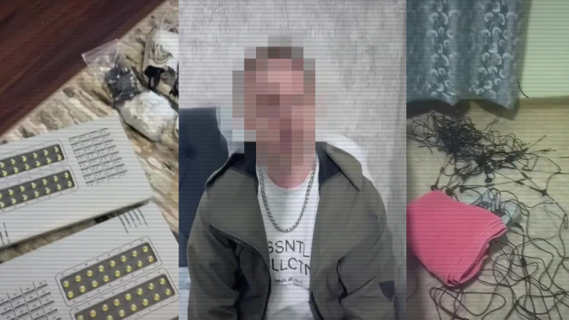 Түкті тараған бөкселер