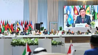 Президенттің тапсырмасымен Мәжіліс төрағасы төтенше Араб-Ислам саммитіне қатысты