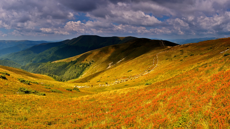 Фото:depositphotos.com