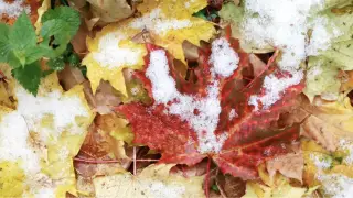 Кей өңірде қар жауады, үсік жүреді: 20 қыркүйекте ауа райы қандай болады?