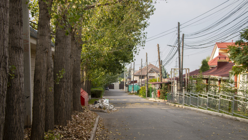 Фото: ©️ Tengrinews.kz / Никита Данилин