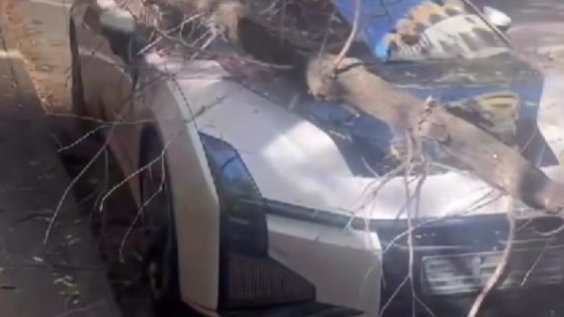 видео кадры