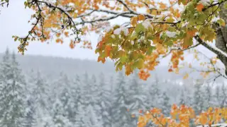 Синоптиктер 5 қазанға арналған ауа райы болжамын жариялады