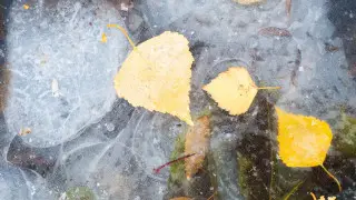 Қазақстанда күн күрт суытады