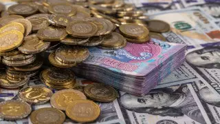 Кішкентай татар әйелді есектің ішіне алады