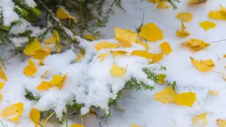 Қазақстанда алдағы күндері ауа райы қандай болады?