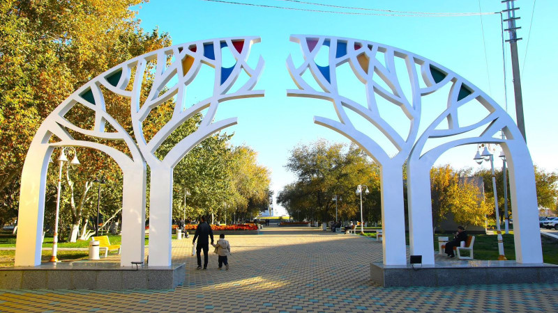 Қарт адамның секс видеосы