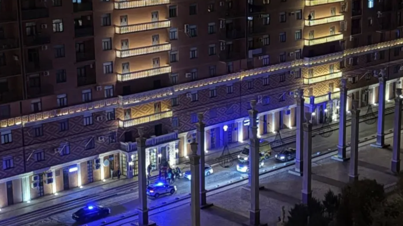 Куәгер ұсынған сурет