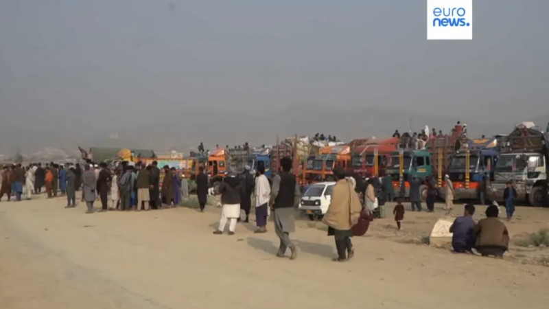 Лара Стивенс порно актрисасы