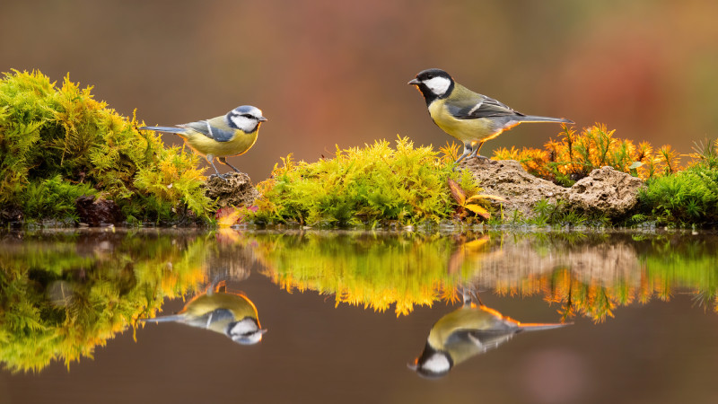 Фото:depositphotos.com