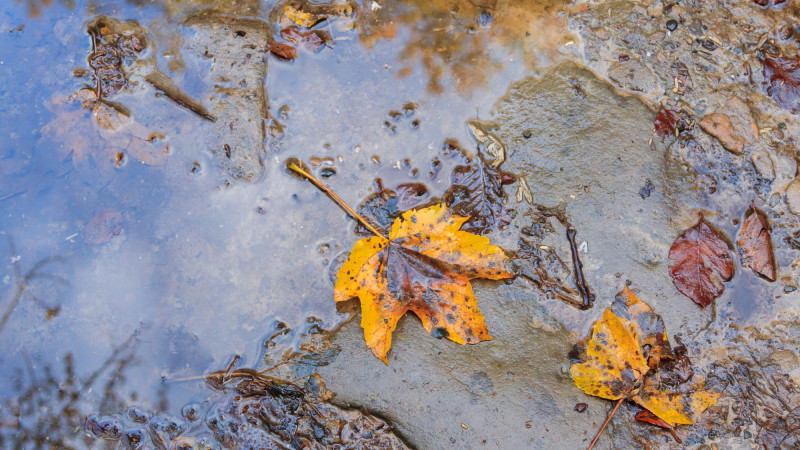 Порно жас арық спермы ішіндегі