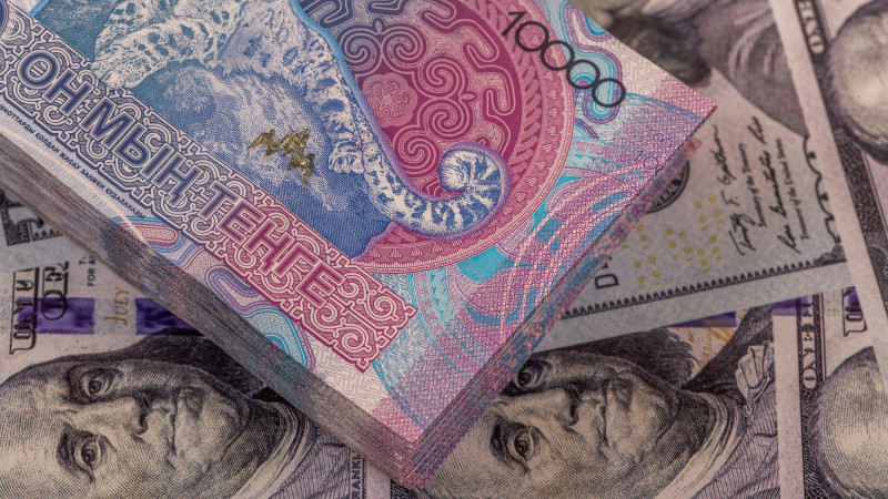 Қынаптық бейнекамера