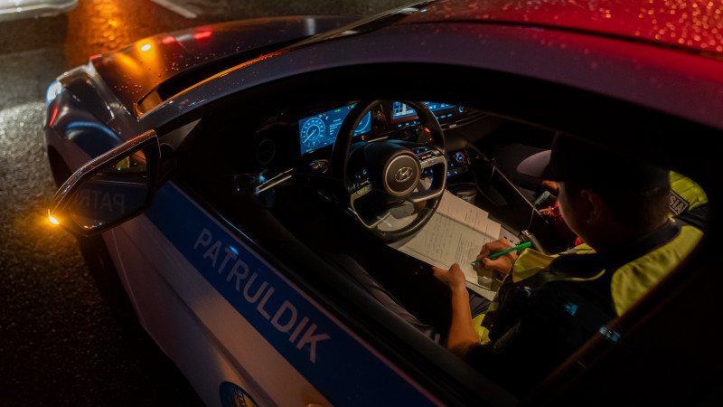 Ұлының әйелі саяжайда, ал ол анасымен жыныстық қатынаста.